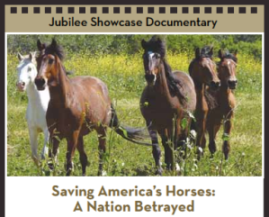 Saving Horses, Preventing Animal Abuse, Documentary Movies, Government Coruption, KC Film Festival, Kansas City, Wild Horses, 